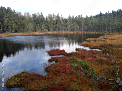 Lake and moor in Bottnaryd Nature reserve, Sweden