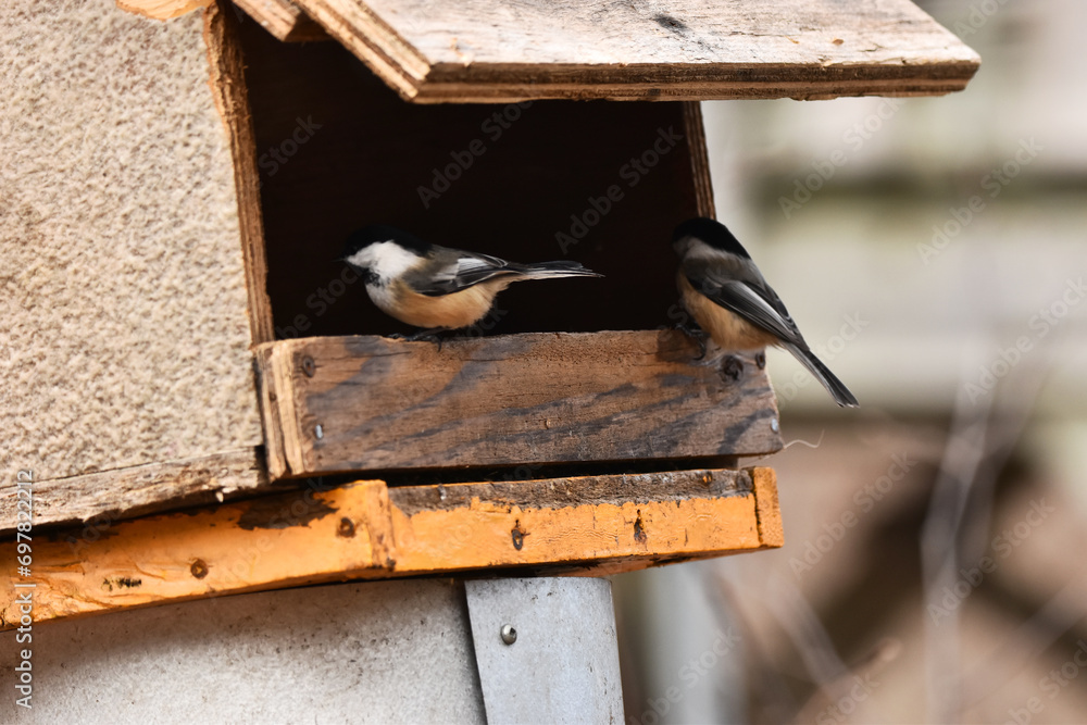 Fototapeta premium La Plaine 24 Décembre 2023