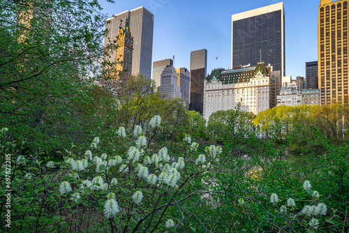 Central Park in spring, view to midtown photo