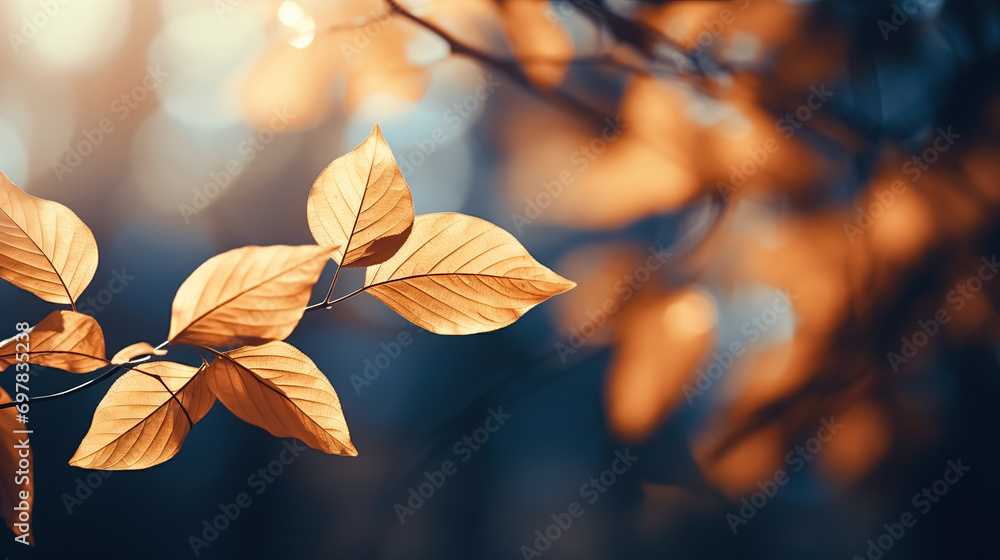 Beautiful autumn leaves on a tree branch in the forest. Selective focus.