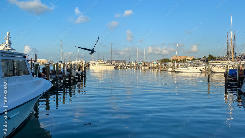 Marina in Key West Florida