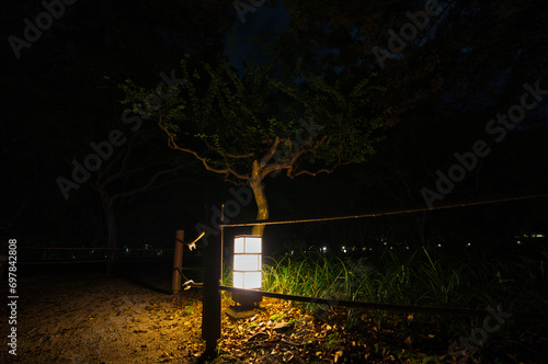 Lights in the Darkness