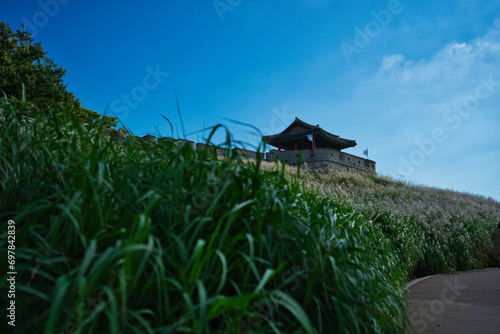 Wall 