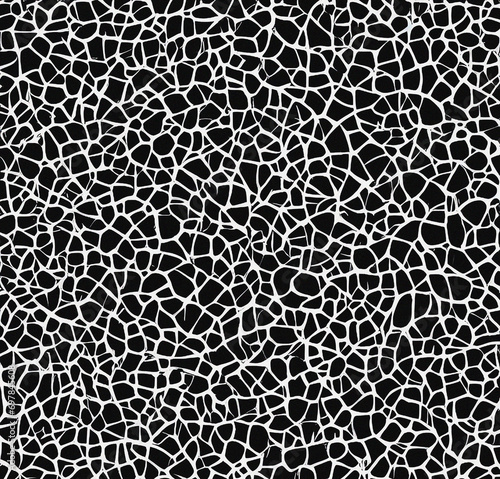 black and white background, abstract template, surface design