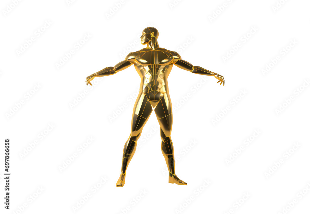 3d rendered illustration of a anatomy 3d rendered illustration of a anatomy