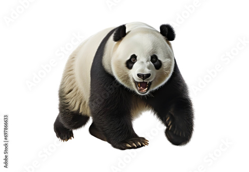 Panda_running_sharp_full_body._No_shadows_highest