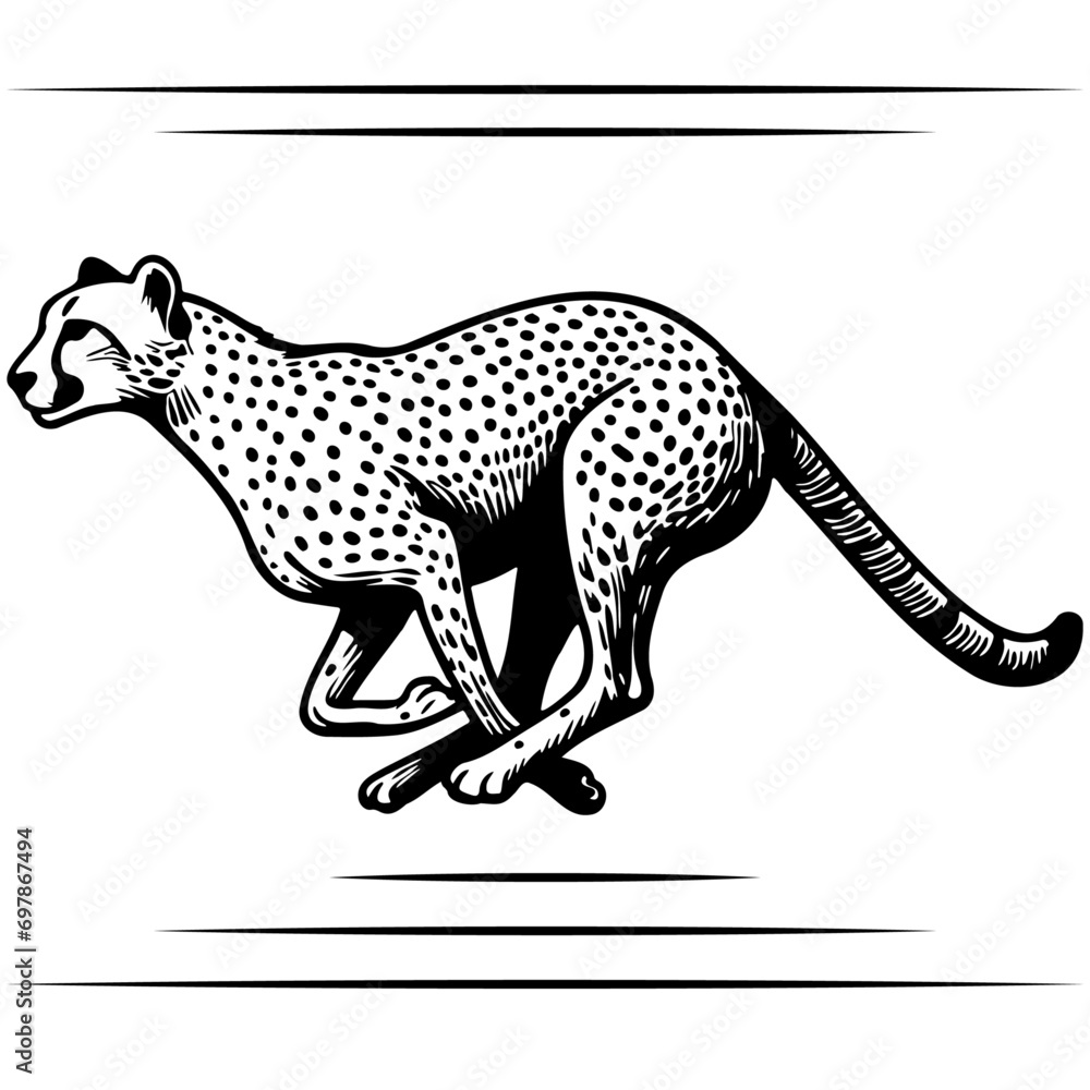 Fototapeta premium Cheetah Sketch Drawing.