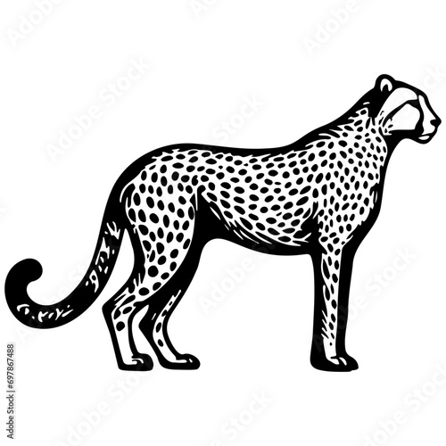 Cheetah Sketch Drawing.