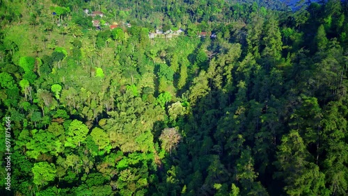 Aerial view of drone flying approaching a forest in a village in Ponorogo, East Java, Indonesia. Aerial drone footage. photo