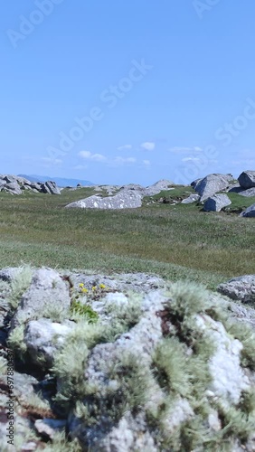 Moss and Meadow by the Irish coastline