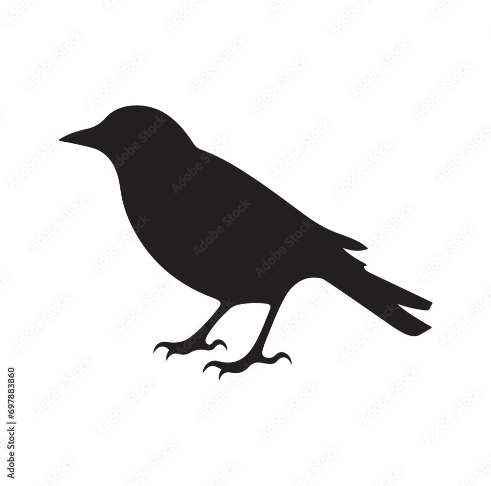 Bird Silhouette vector icon isolated on white background. Bird Silhouette vector icon isolated on white background.