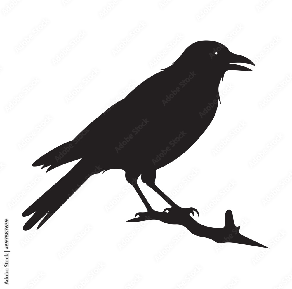Bird Silhouette vector icon isolated on white background. Bird Silhouette vector icon isolated on white background.