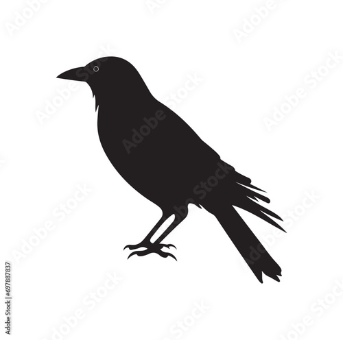 Bird Silhouette vector icon isolated on white background.