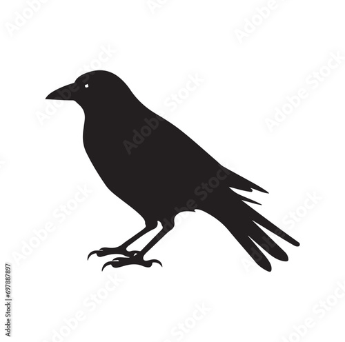 Bird Silhouette vector icon isolated on white background.