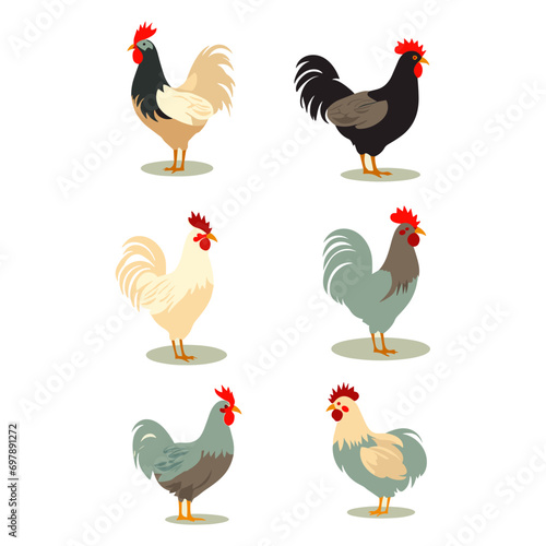 Cartoon chicken chick with eggs hen rooster vectors