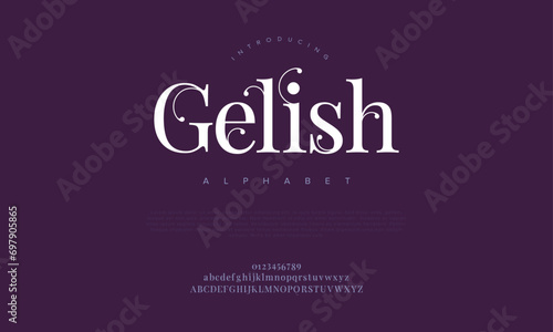 Gelish premium luxury elegant alphabet letters and numbers. Elegant wedding typography classic serif font decorative vintage retro. Creative vector illustration photo