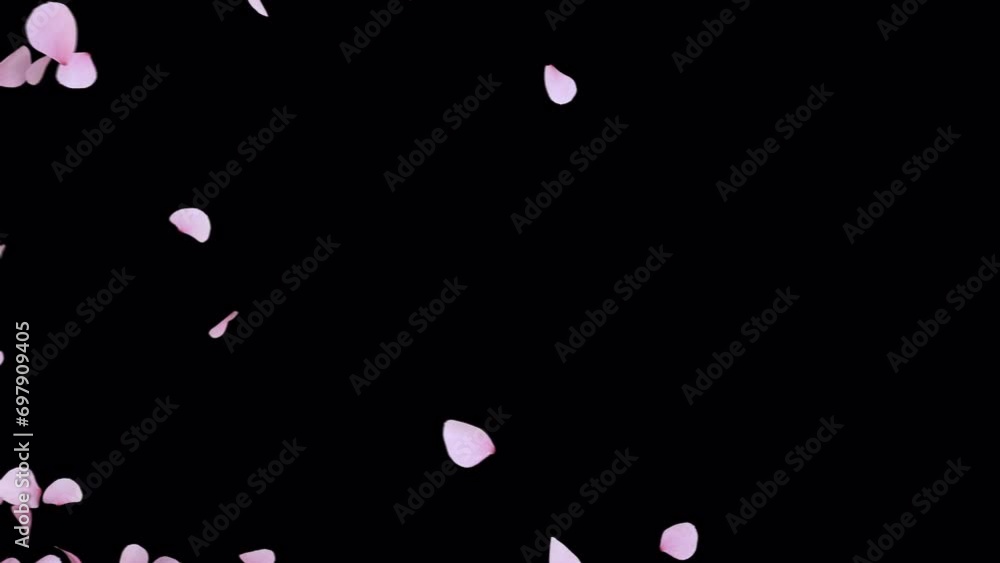 Cherry Blossom Transition on Alpha channel. Transition of cherry blossom place on footage or background and easier to adjust colour. Cherry Blossom Transition on Alpha channel. Transition of cherry blossom place on footage or background and easier to adjust colour.