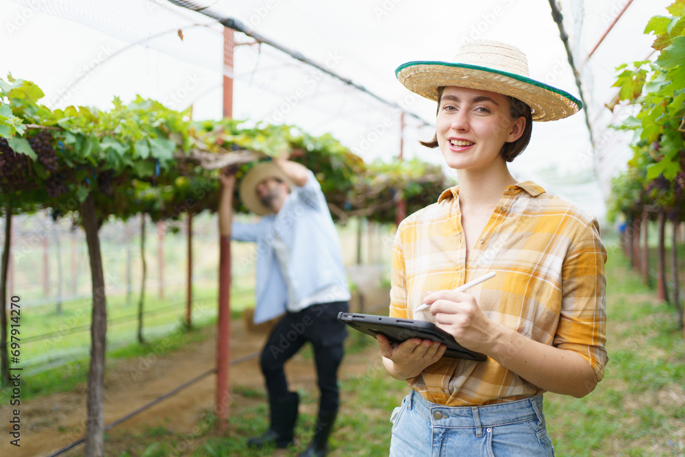 happy caucasian woman in vineyard crossed arms and looking at camera. happy caucasian woman in vineyard crossed arms and looking at camera.
