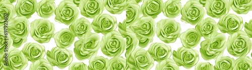 GREEN Rose PATTERN background