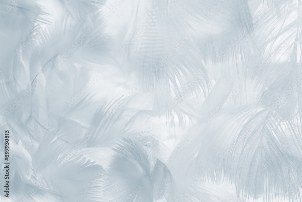 Beautiful white baby blue colors tone feather pattern texture cool background for decorative design wallpaper and other - obrazy, fototapety, plakaty 