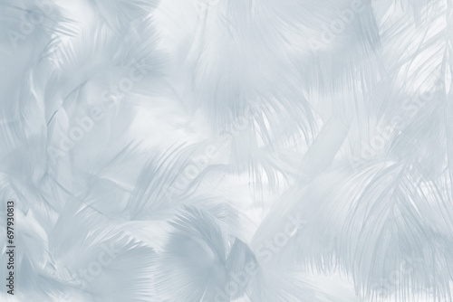 Beautiful white baby blue colors tone feather pattern texture cool background for decorative design wallpaper and other © Shariq .B