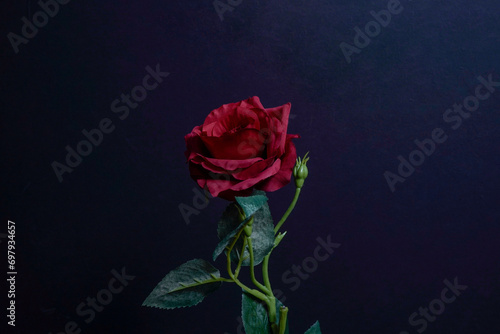 薔薇