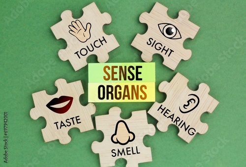 Puzzle with five Sense organs icons namely sight, hearing, smell, teste and touch. basic 5 human senses photo