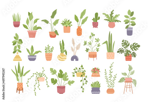 Flat style houseplants, plants in flowerpots vector bundle, isolated home potted flowers set, hand drawn illustration. Green decorations for cozy modern interior.