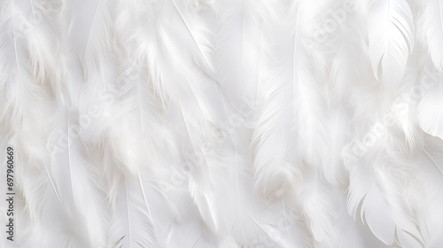 Bright white feather texture. flat lay. Copy space. Birthday card,  Valentines, Women's, Wedding Day concept. #697960669