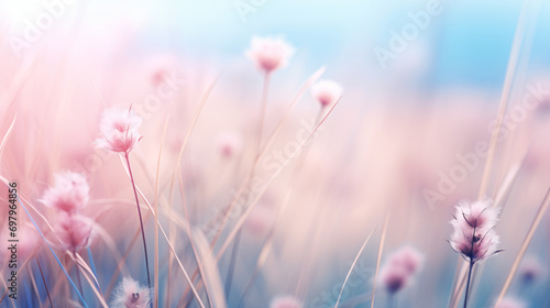 Abstract spring background or summer background