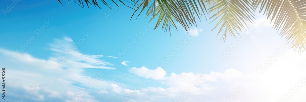 Palm tree on tropical beach with blue sky and palm trees background. Copy space of summer vacation. Banner - obrazy, fototapety, plakaty 
