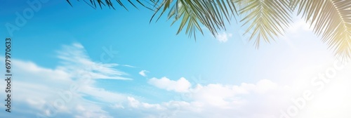 Palm tree on tropical beach with blue sky and palm trees background. Copy space of summer vacation. Banner photo