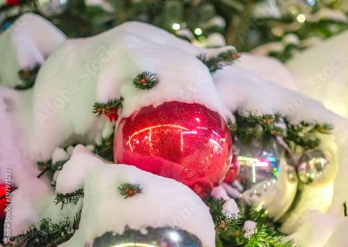 Christmas tree branches in the snow with a beautiful red ball for decoration