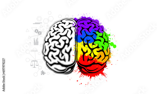 Human brain illustration for depicting creativity and logic concept.