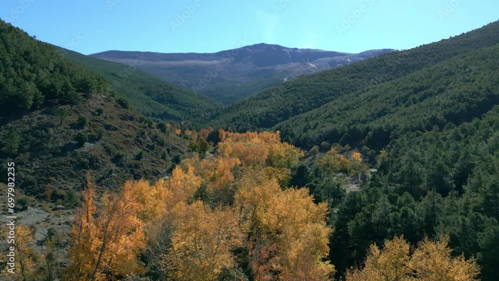 Treetops in the forest in autumn. High altitude flight aerial view of forest and mountains. Andalusia. Spain. Treetops in the forest in autumn. High altitude flight aerial view of forest and mountains. Andalusia. Spain.