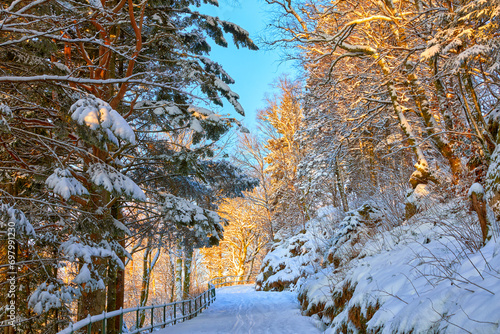 Pathway to mount Floyen in light of rising sun in winter, Bergen, Norway