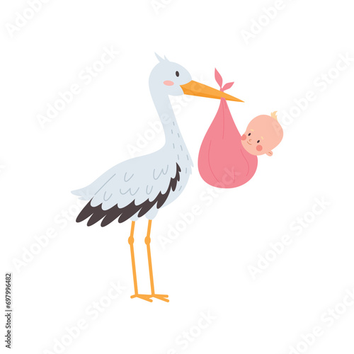 Stork carrying a cute newborn baby in a pink diaper, it's a girl, vector cartoon greeting birthday, baby announcement