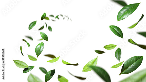 Greenery freshness leaves twist flowing in the air cutout transparent backgrounds 3d rendering png photo