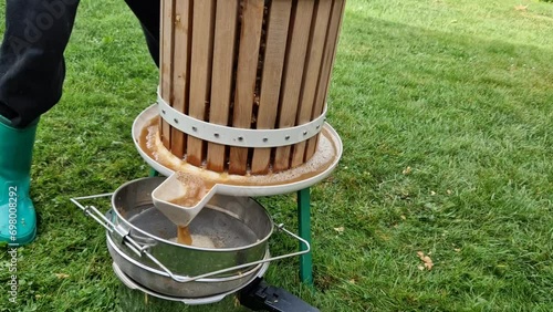 Making homemade cider juice from fallen apples pressing in a hand press with a screw children help to turn the handle cider flows out of the pulp through a sieve the pulp is thrown to the compost photo