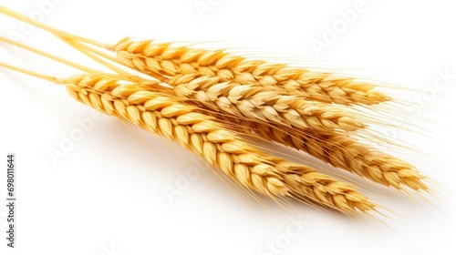 ears of wheat isolated on a white background