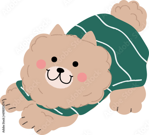 Cute dog with outfit illustration vector