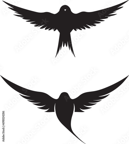 Swallow bird black silhouette on white background  