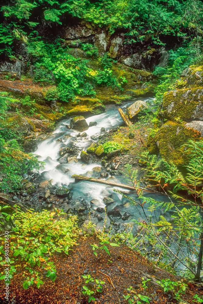 Van Trump Creek in Mt. Rainer National Park, Washington State