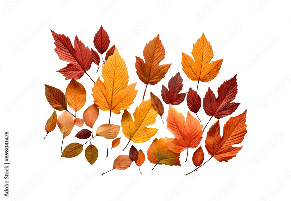 Naklejka premium autumn leaves