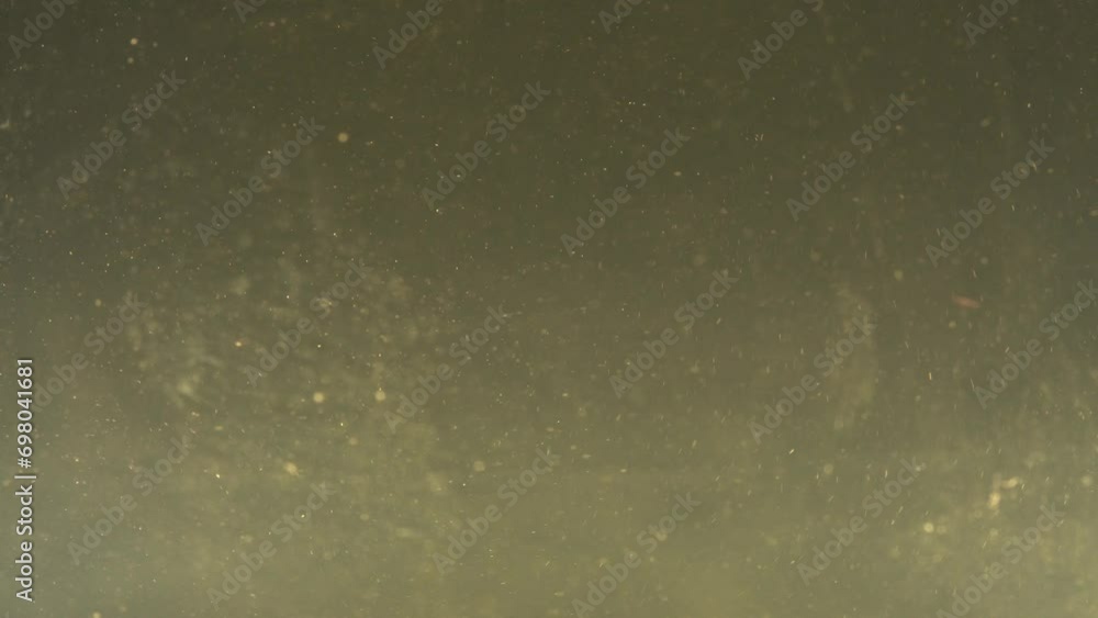 Coffee dissolves in a glass of water, close-up Coffee dissolves in a glass of water, close-up
