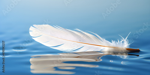 White feather floating in a pool of water, Swan feathers elegantly glide in a reflective scene crafting a serene and poetic tableau.  photo