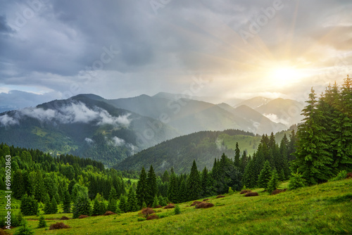 Idyllic landscape in the Alps with fresh green meadows and blooming flowers photo
