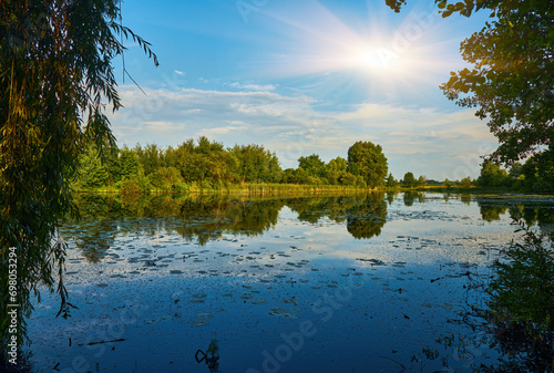 lake view in windless weather with green reeds on cloudy day in summer