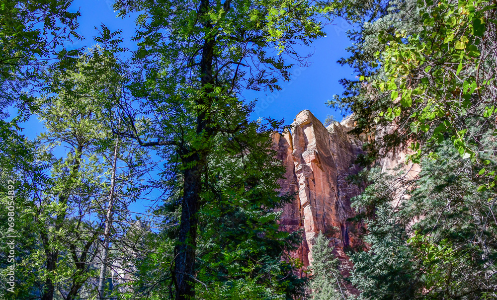 Fototapeta premium Scenic view of Mountains North of Sedona along the West Fork Trail, Arizona