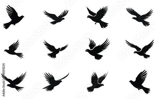 Flying Dove birds silhouettes, isolated bird flying photo